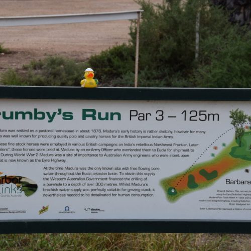 Brumby's Run Abschlagtafel